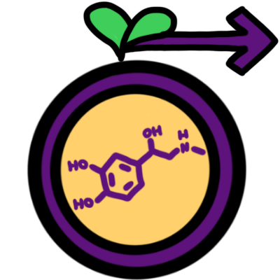 a purple adrenaline molecule inside a purple circle with a yellow interior. above this, in the centre, is a green sprout symbolising the onset of puberty. a purple arrow points from the sprout tot he right, indicating visible onset.